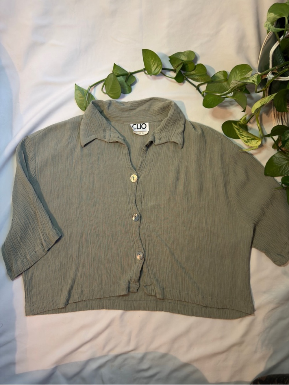 Clio Light Sage Cropped Button-Down Shirt